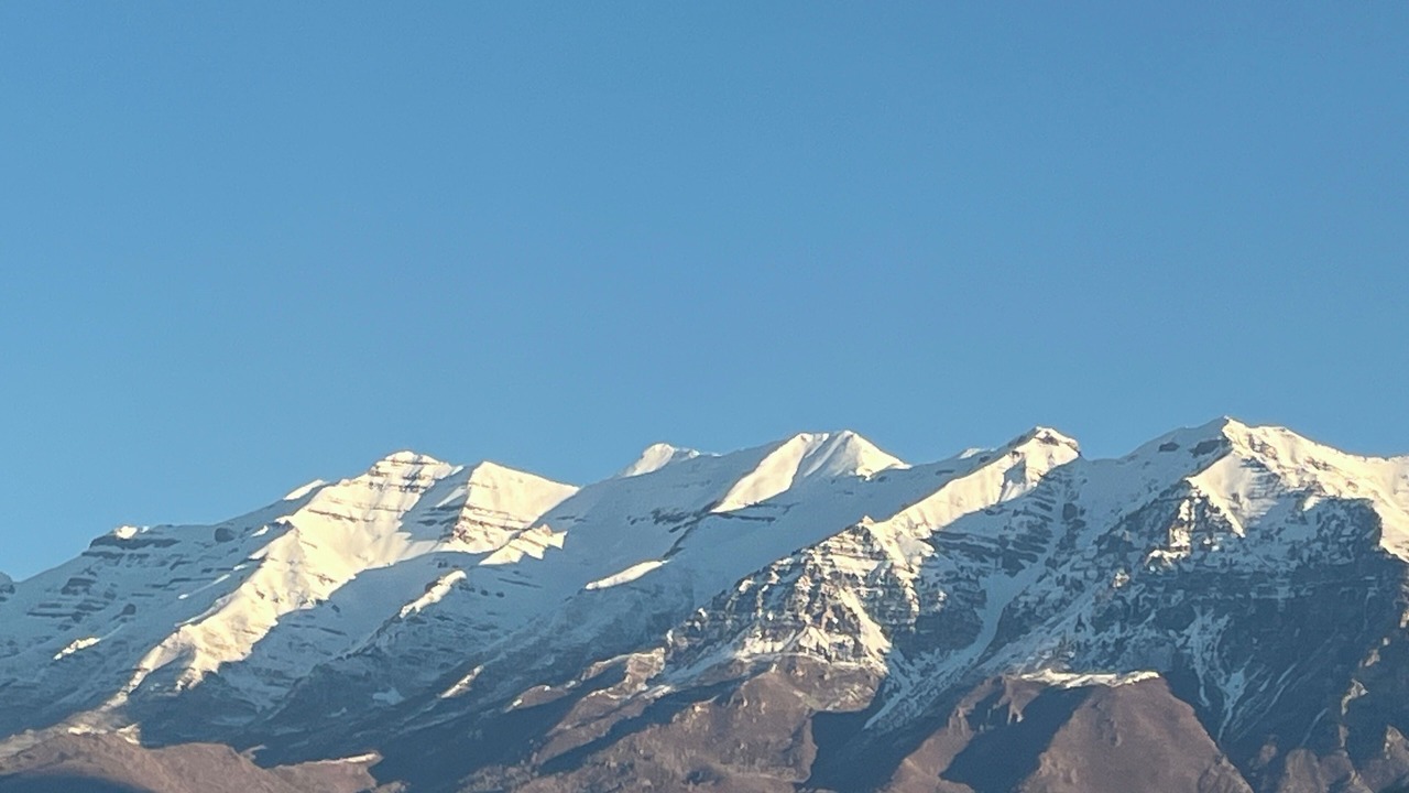 Photo of Others in Provo Bay