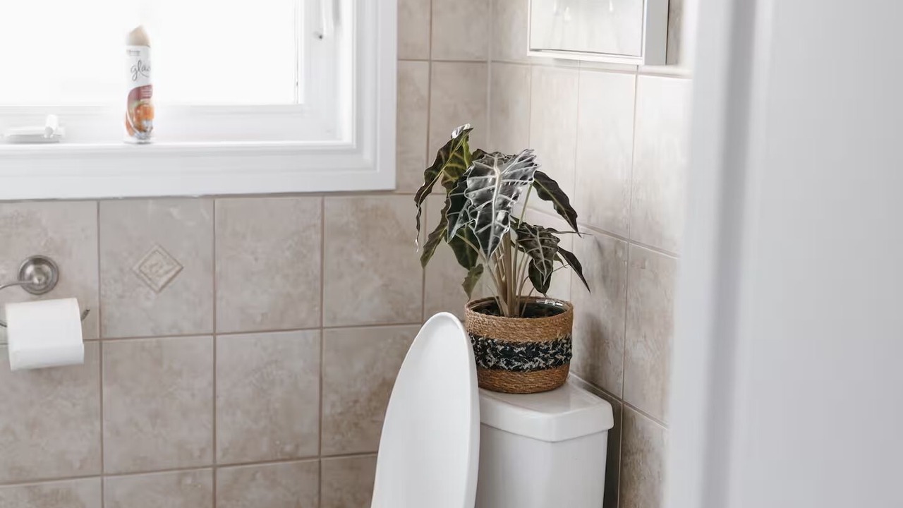 Photo of Bathroom in Ennismore