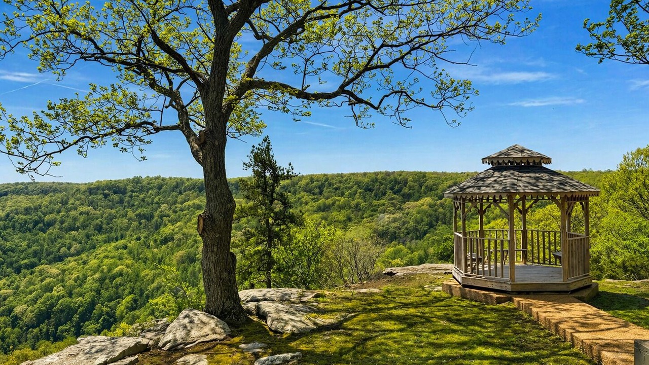 Photo of Outdoor in Altamont