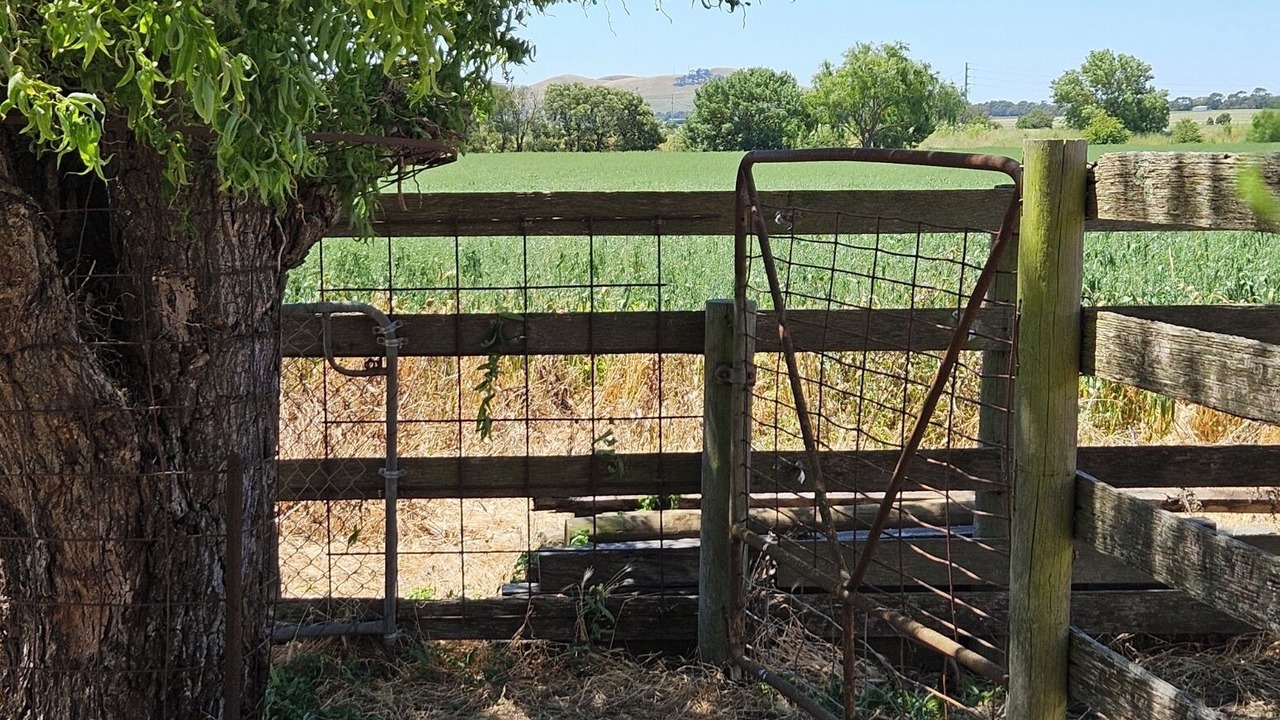 Photo of Outdoor in Terang