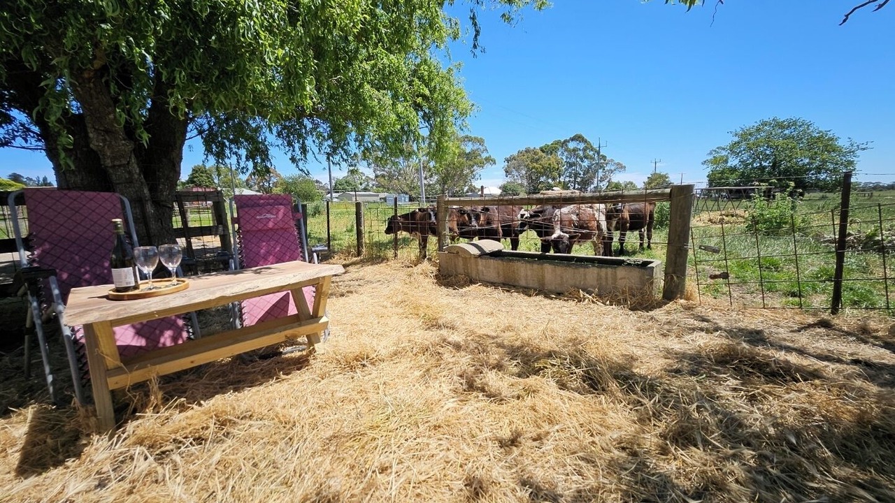 Photo of Outdoor in Terang