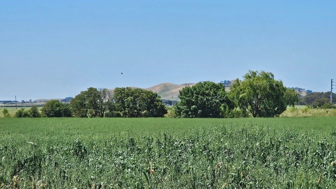 Photo of Others in Terang