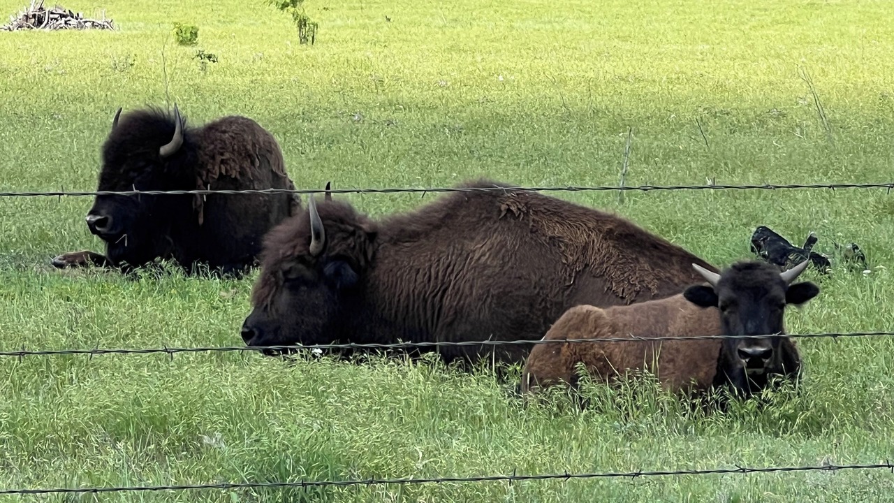Photo of Others in Kiowa County