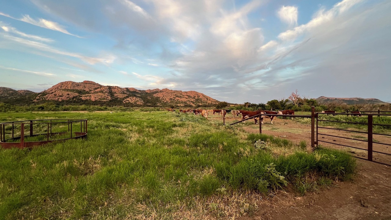 Photo of Others in Kiowa County