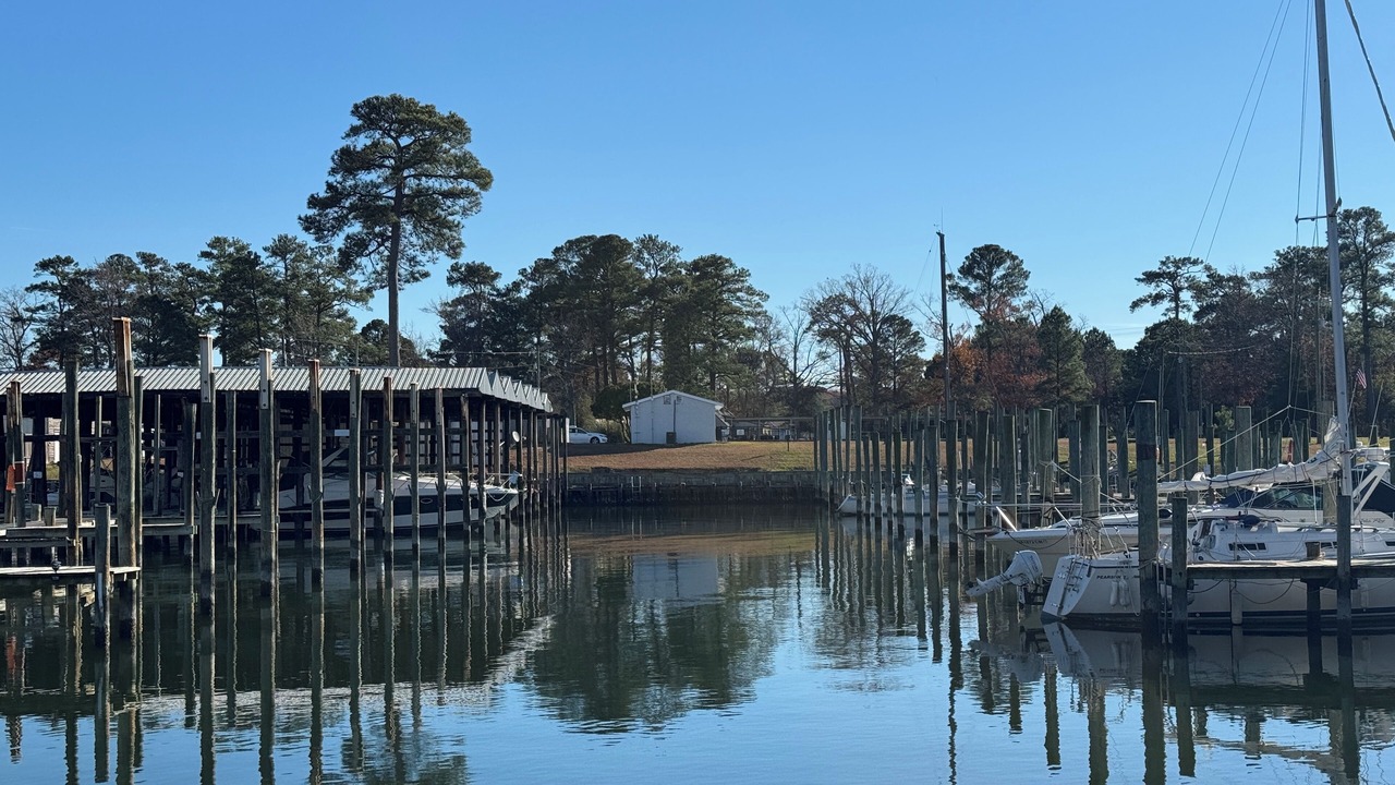 Photo of Others in Hague