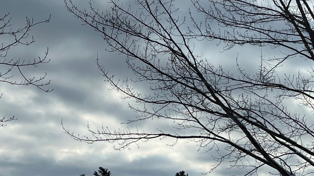 Photo of Others in Havelock-Belmont-Methuen