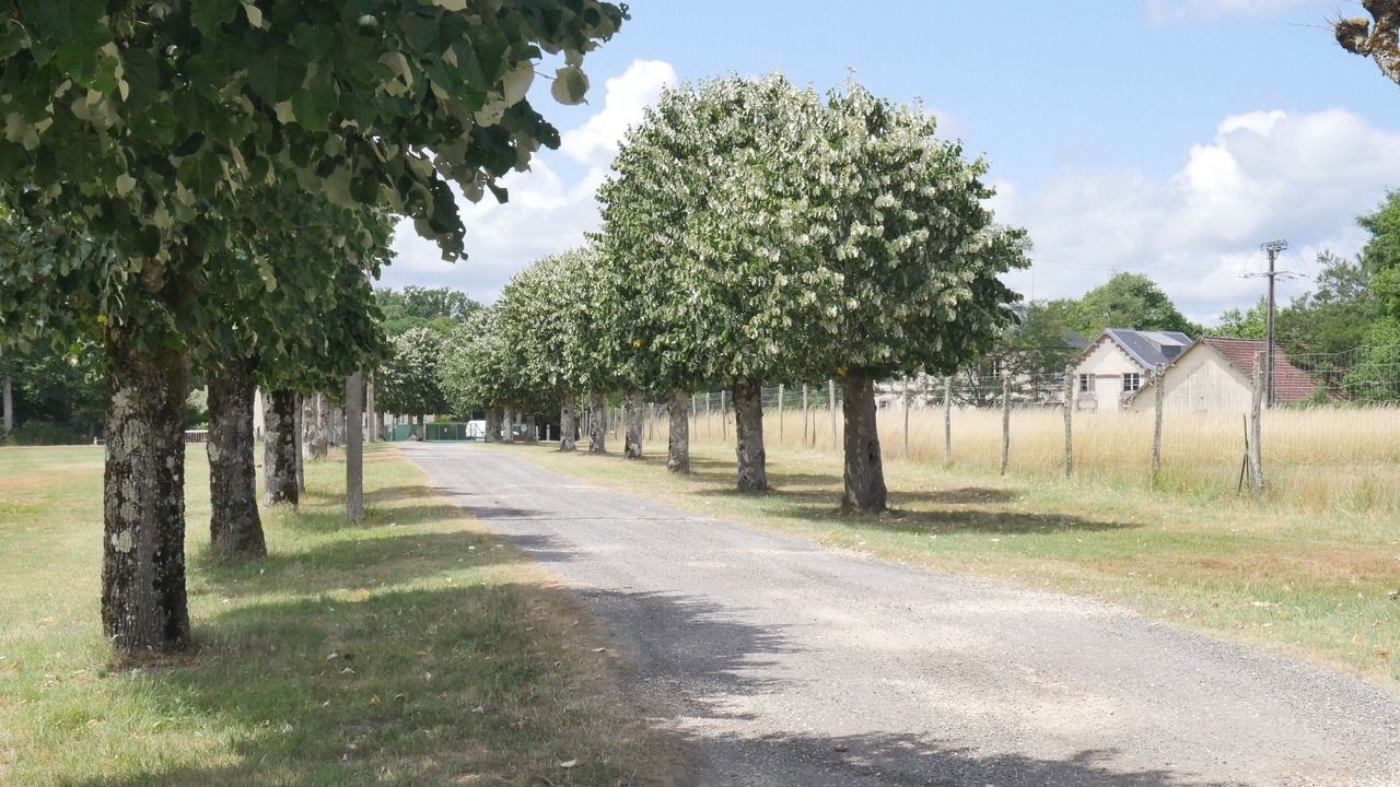 Photo of Others in Vouzeron