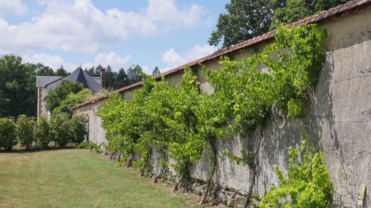 Photo of Outdoor in Vouzeron