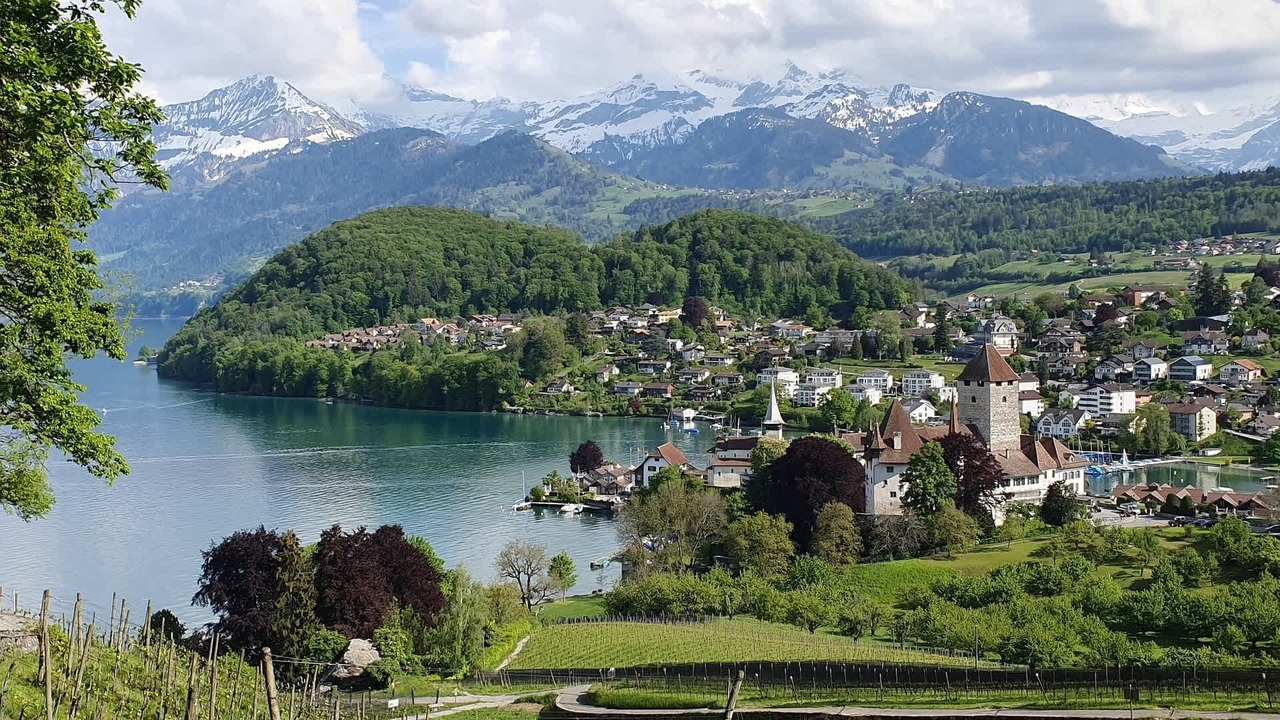 Photo of Others in Thun
