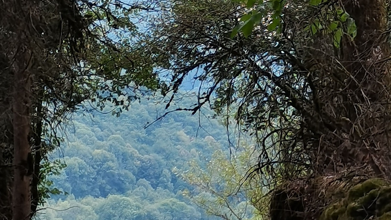 Photo of Others in Lacaze