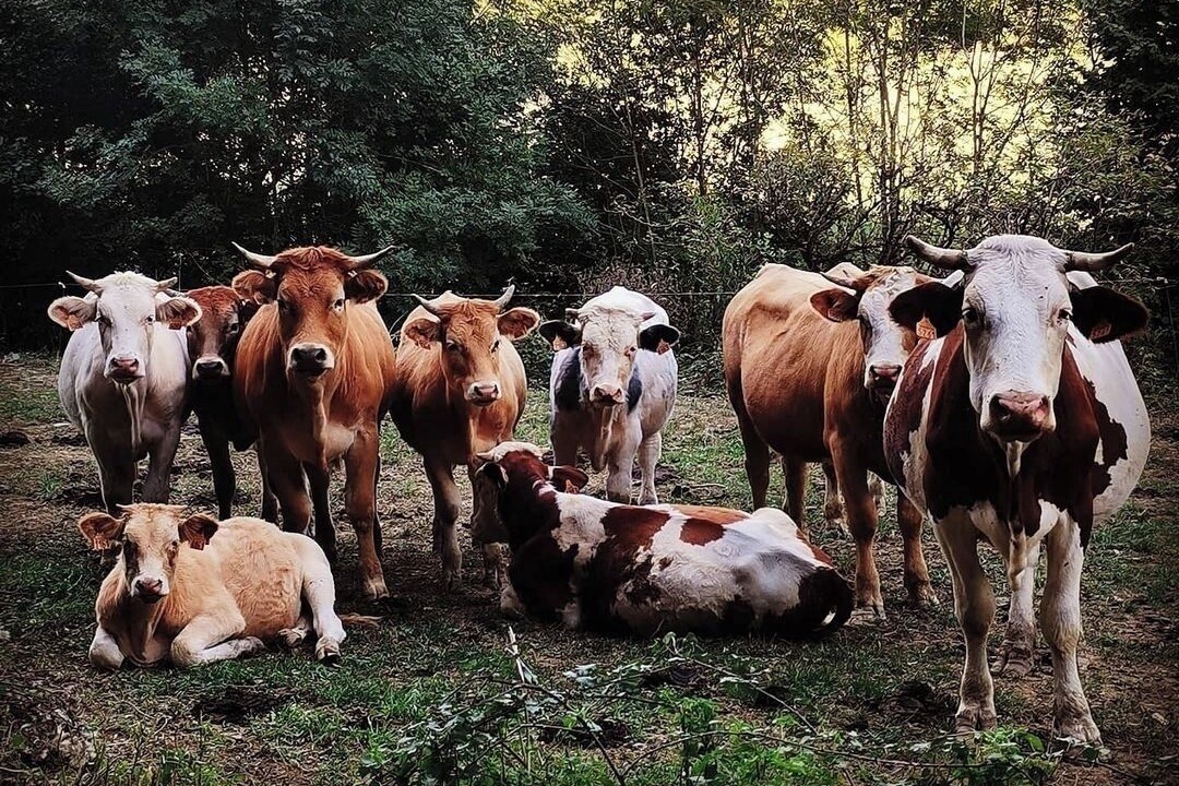 Photo of Others in Lacaze