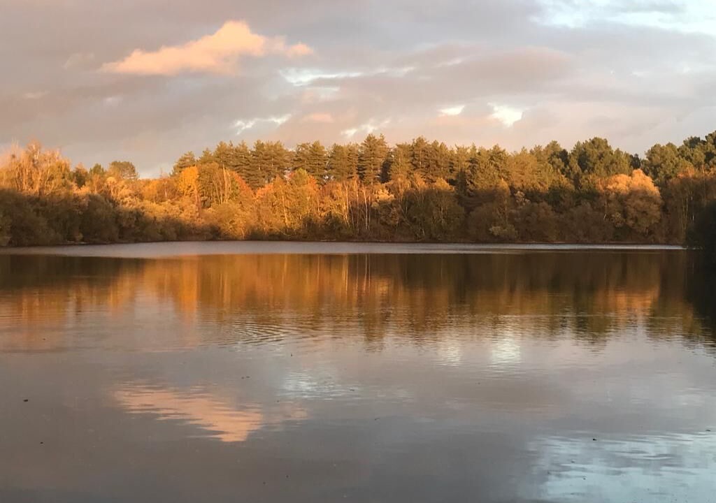 Photo of Others in Vignoux-sur-Barangeon