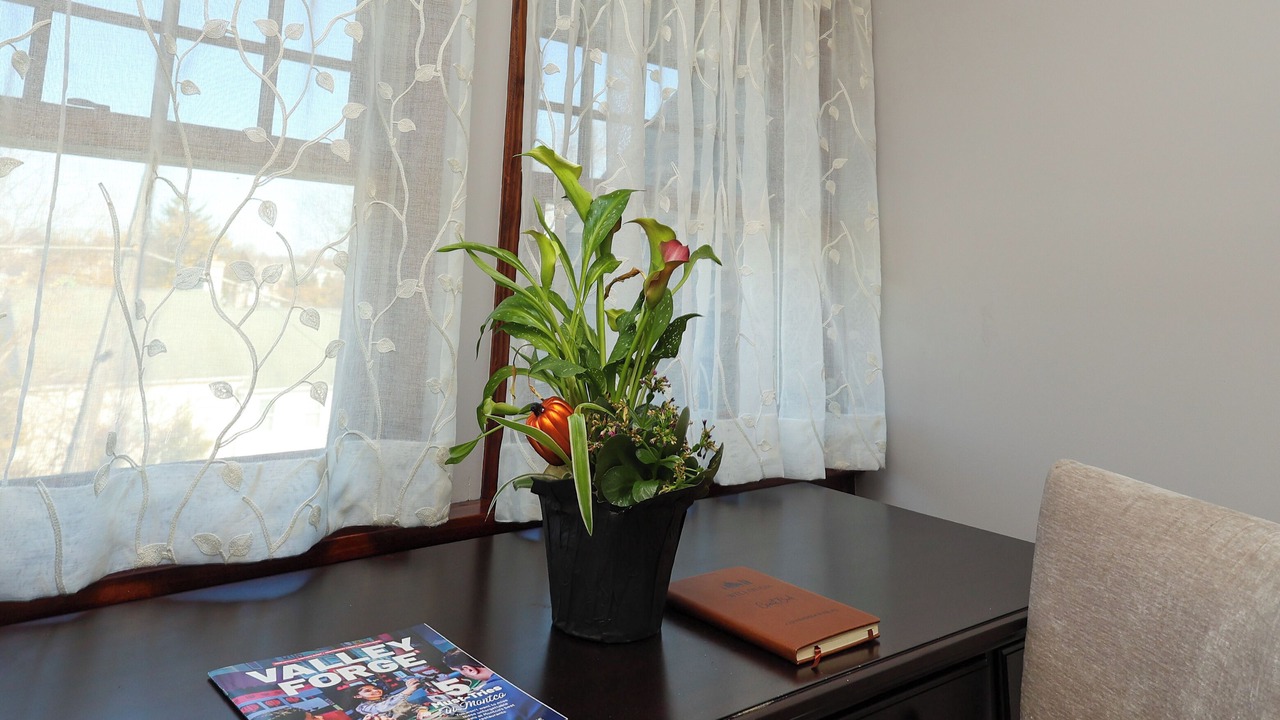 Photo of Others in Conshohocken