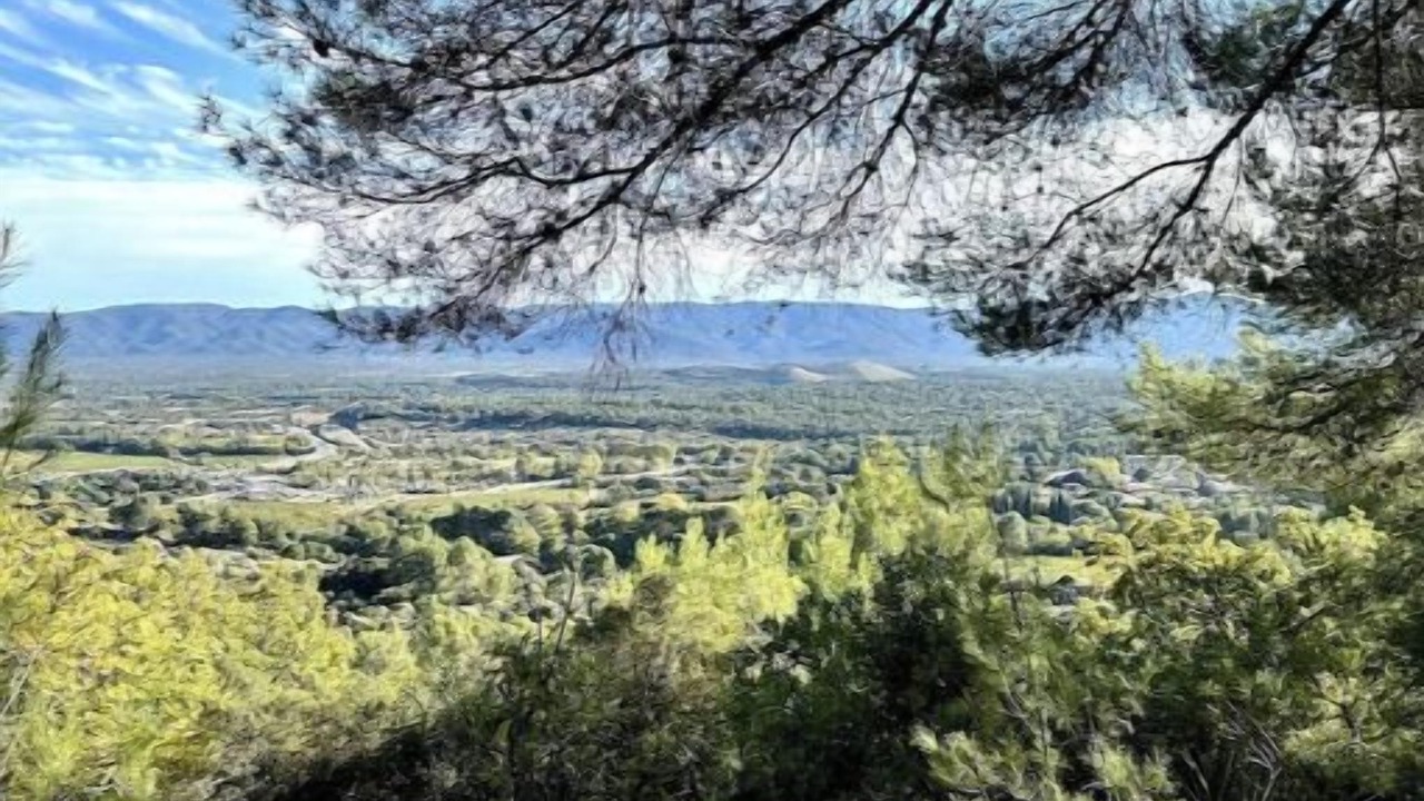 Photo of Others in Le Cannet-des-Maures