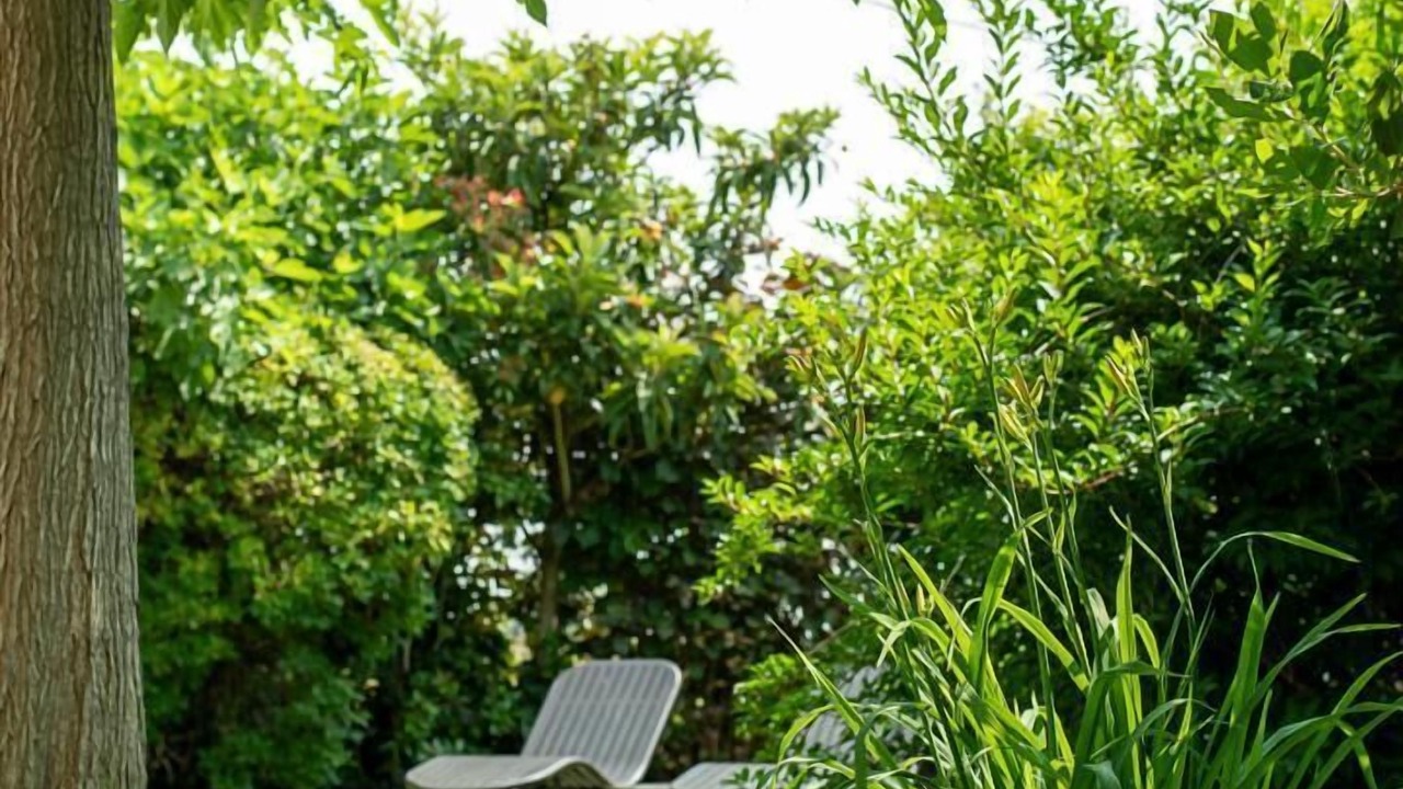 Photo of Outdoor in Aussonne