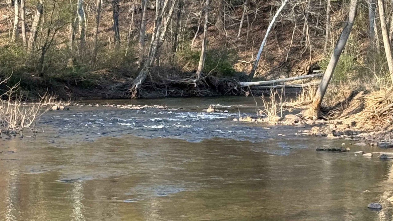 Photo of Others in Berkeley Springs