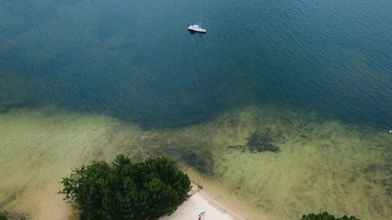 Photo of Others in Sanguinet