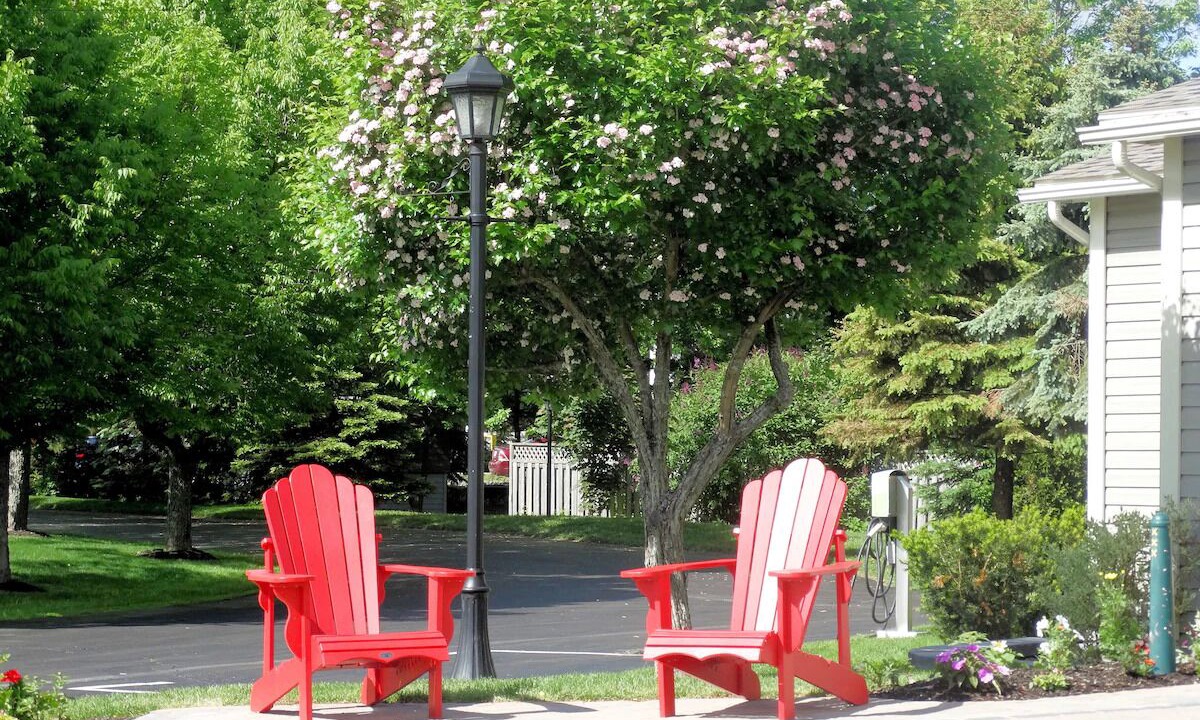 Photo of Outdoor in Sussex