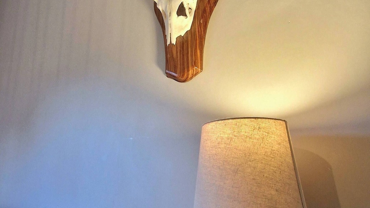 Photo of Others in New Forest District