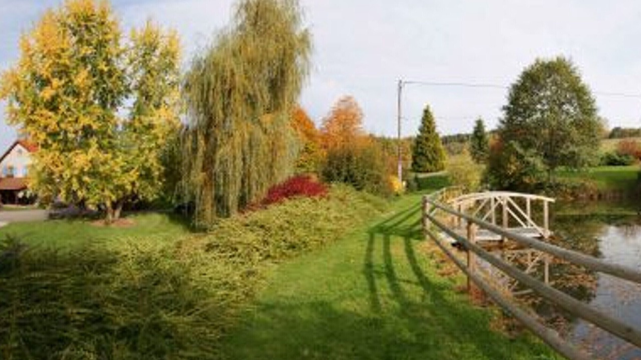 Photo of Outdoor in Provencheres-et-Colroy