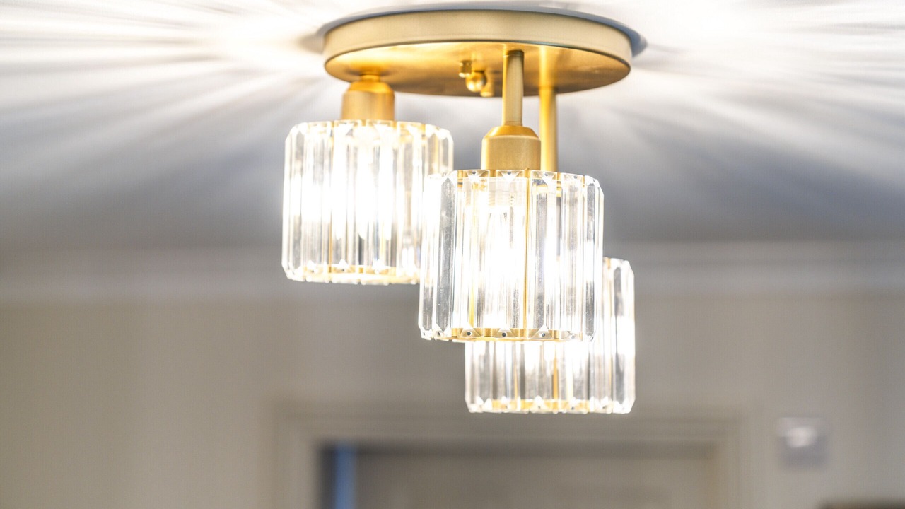 Photo of Others in Ellemford