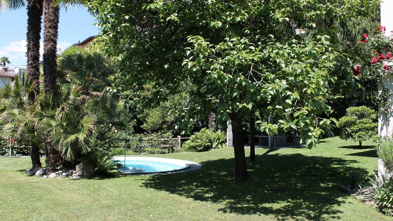 Photo of Outdoor in Minusio