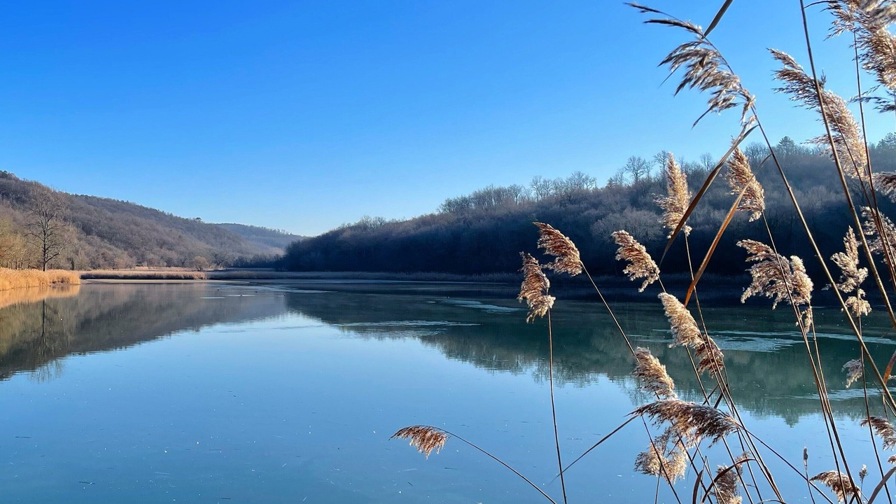 Photo of Others in Valojoulx