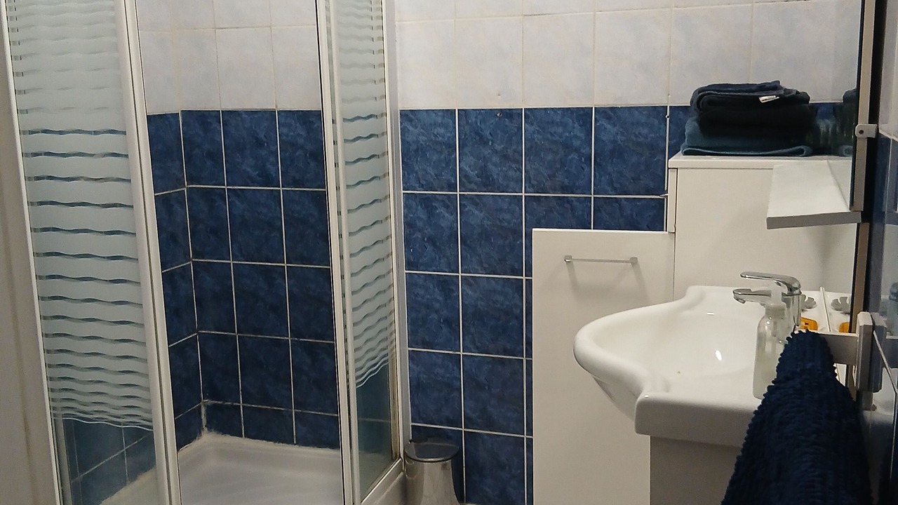 Photo of Bathroom in Brequerecque