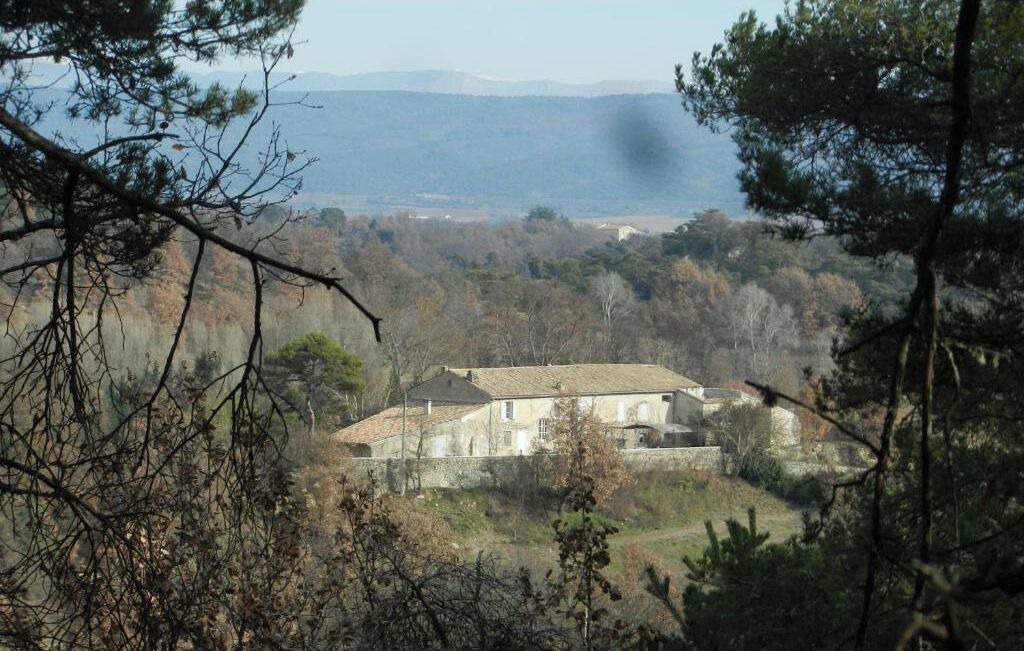 Photo of Others in Niozelles