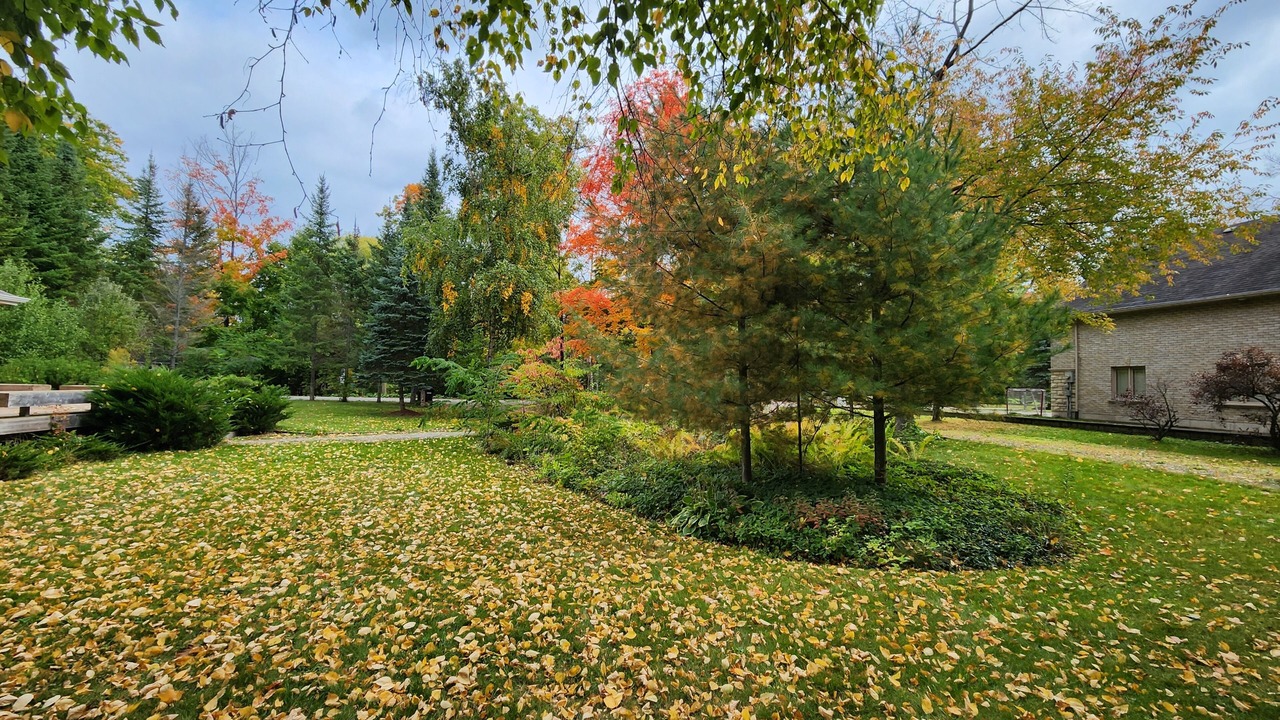 Photo of Outdoor in Big Bay Point