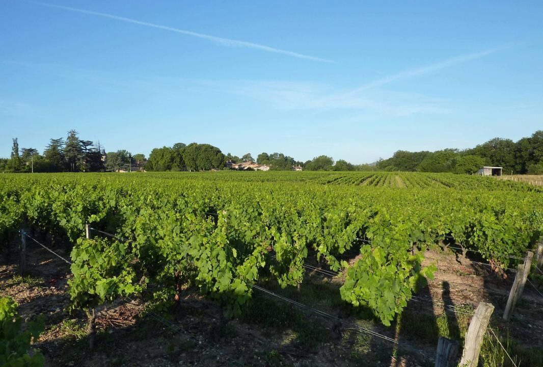 Photo of Others in Arnas