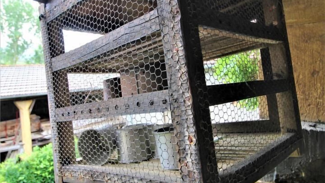 Photo of Others in Bessenay