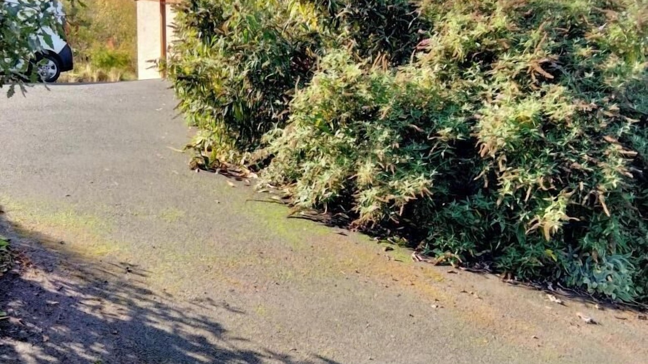 Photo of Outdoor in Saint-Clement-sur-Valsonne