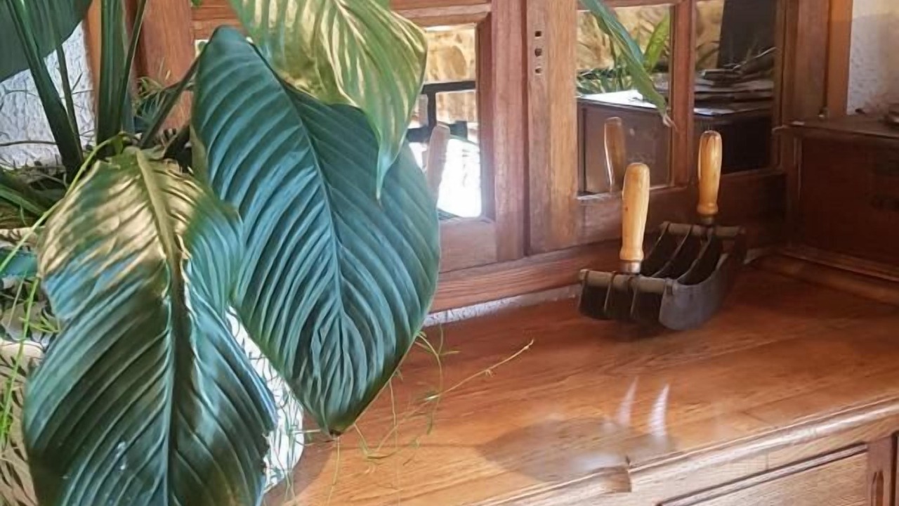 Photo of Others in Saint-Igny-de-Vers