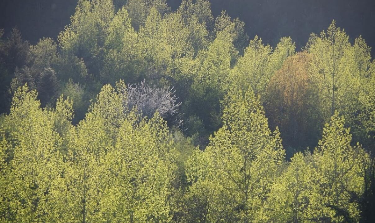 Photo of Others in Valsonne