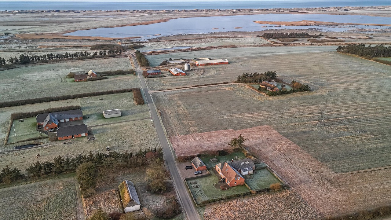 Photo of Others in Vedersø Klit
