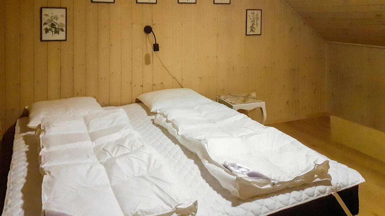 Photo of Others in Vedersø Klit