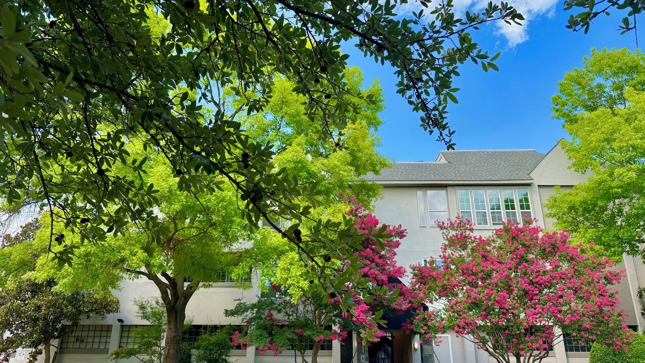 Photo of Outdoor in Oak Lawn