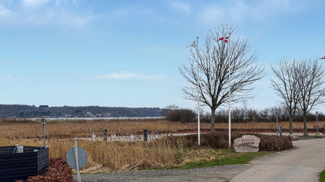 Photo of Others in Vikær Strand