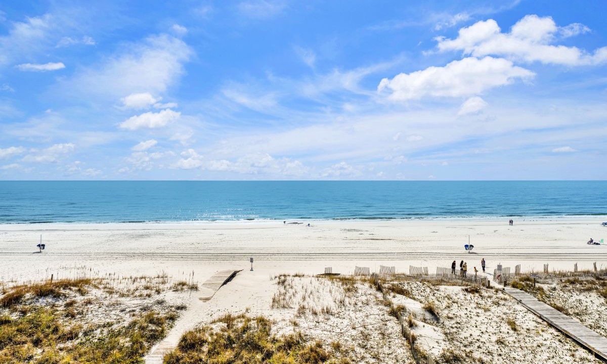 Photo of Others in Gulf Shores