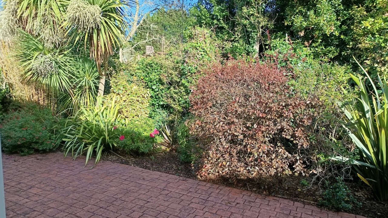 Photo of Outdoor in La Barre-de-Monts