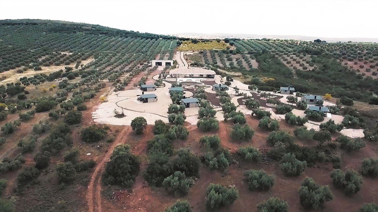 Photo of Outdoor in Villamanrique