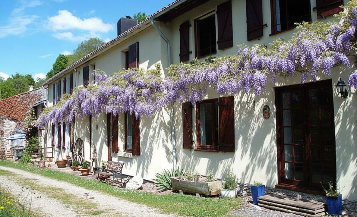 Photo of Outdoor in Vernoux-en-Gatine