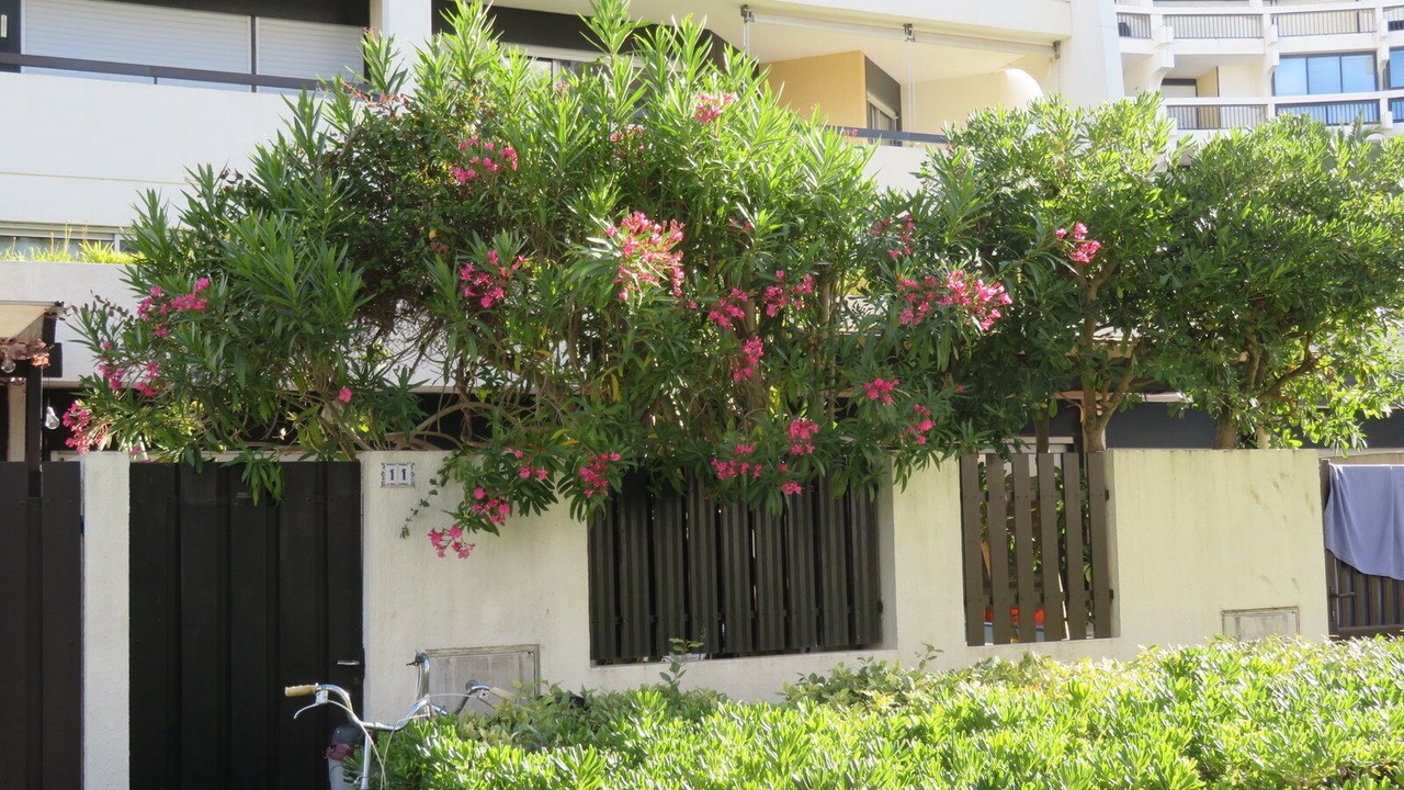 Photo of Outdoor in La Petite Motte