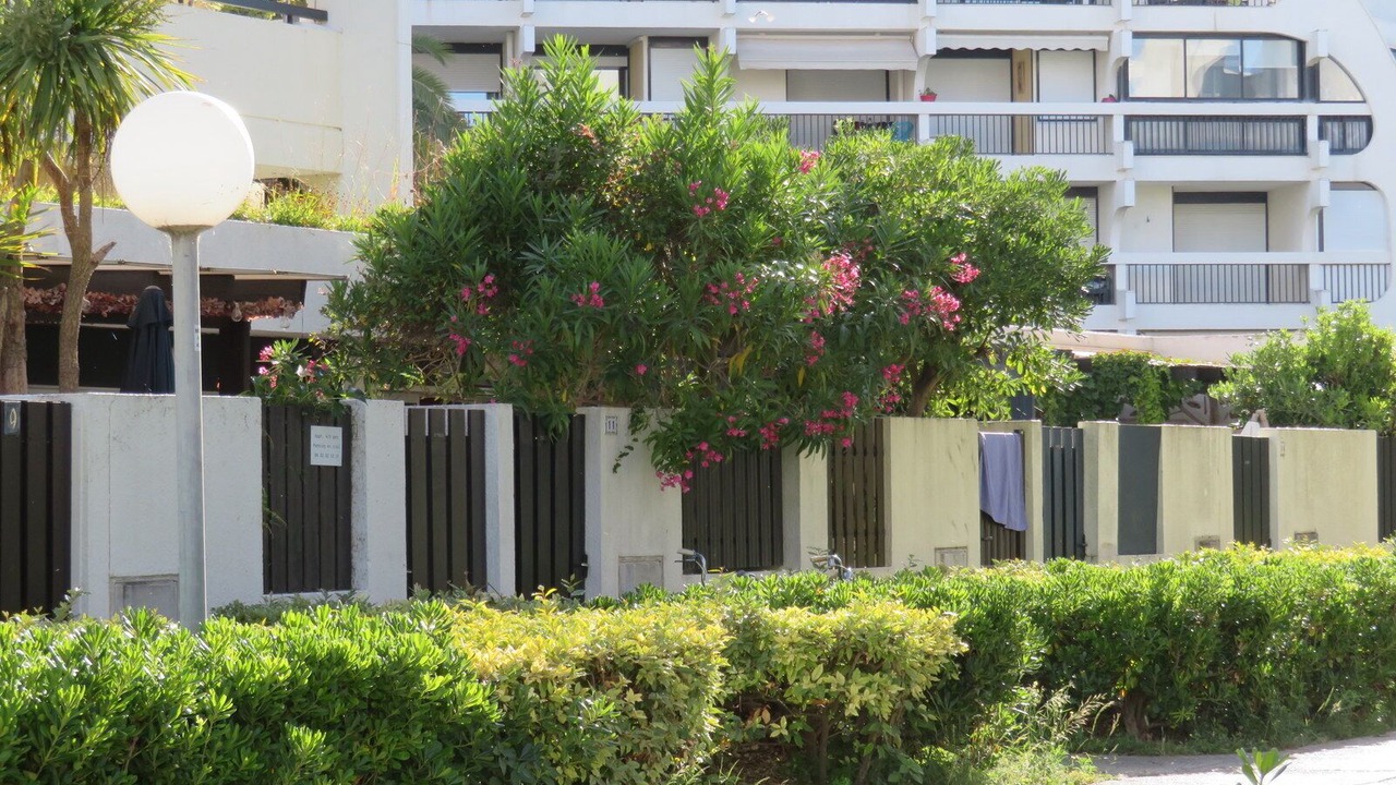 Photo of Outdoor in La Petite Motte