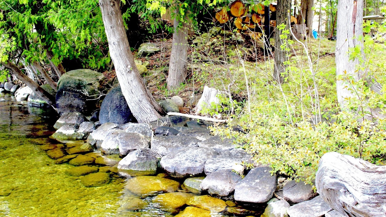 Photo of Others in Oro-Medonte