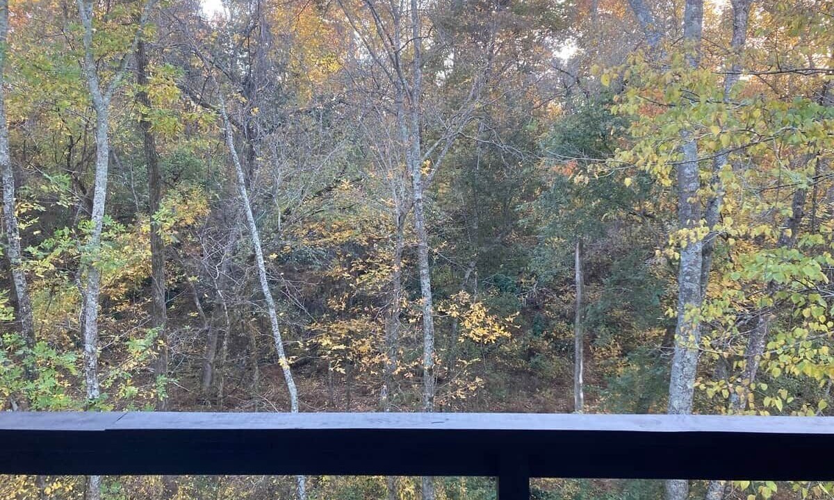 Photo of Outdoor in Rogers