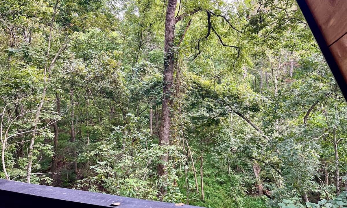 Photo of Outdoor in Rogers