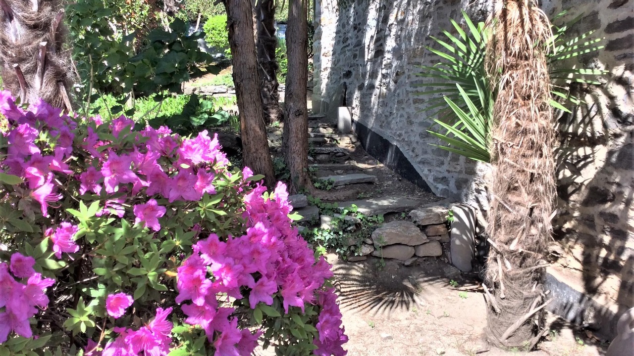 Photo of Outdoor in Minusio