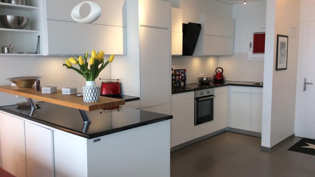 Photo of Kitchen in Minusio